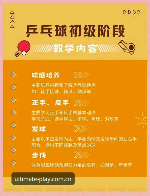 完美体育安全下载全面解析：从入门到高效使用的实战指南