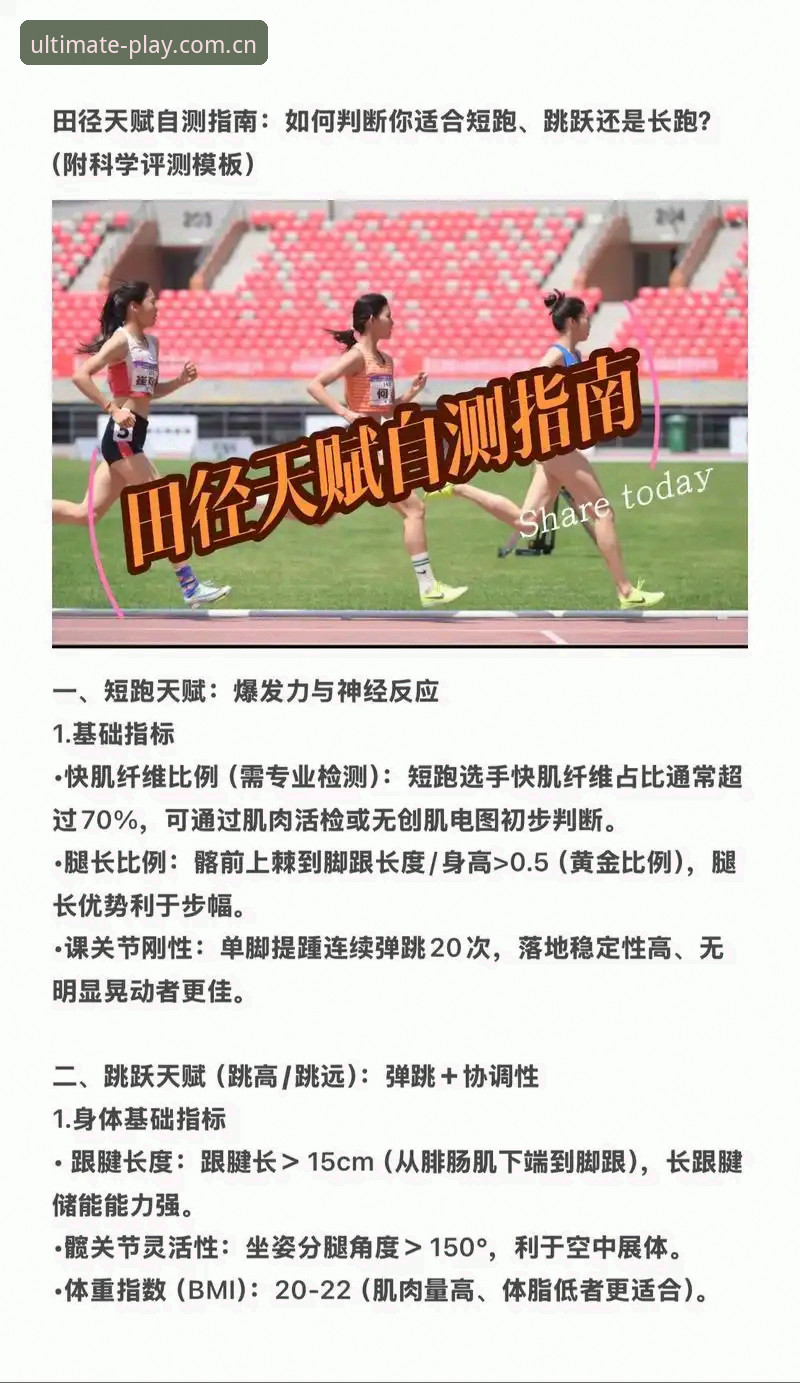 完美体育安全吗？一位资深用户的全面评测与经验分享